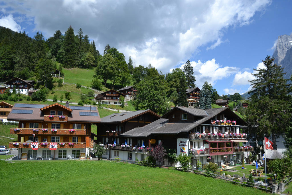 Apartment Residence Caprice Grindelwald Kamer foto