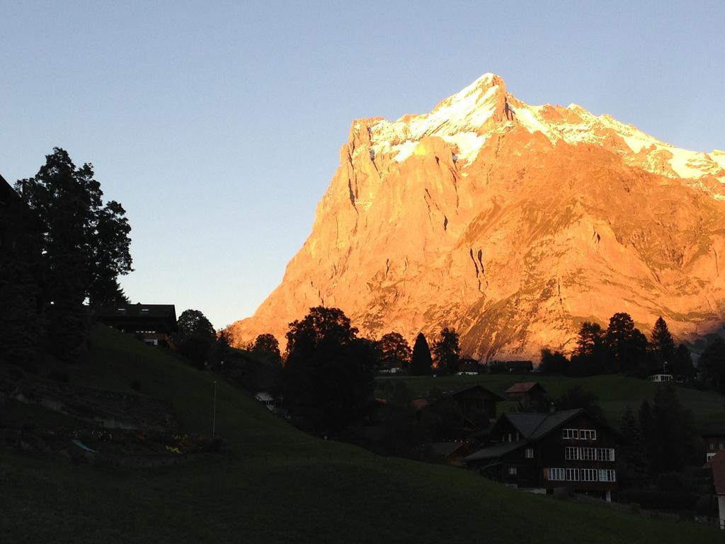 Apartment Residence Caprice Grindelwald Kamer foto